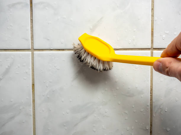 Best Preventive Mold Services in Alpine, TX